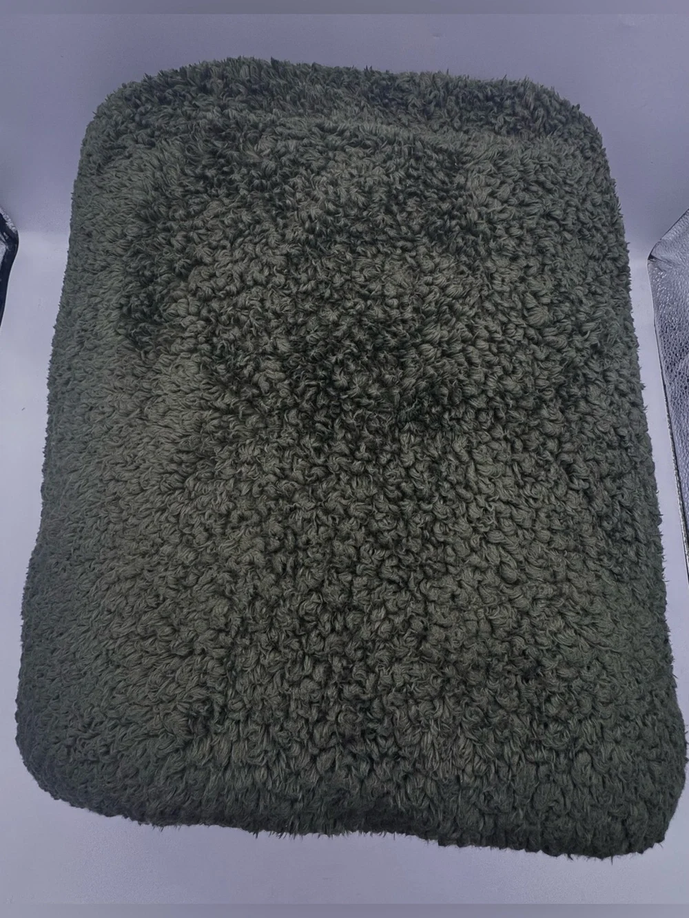 Pottery Barn Cozy Cloud Green Blanket